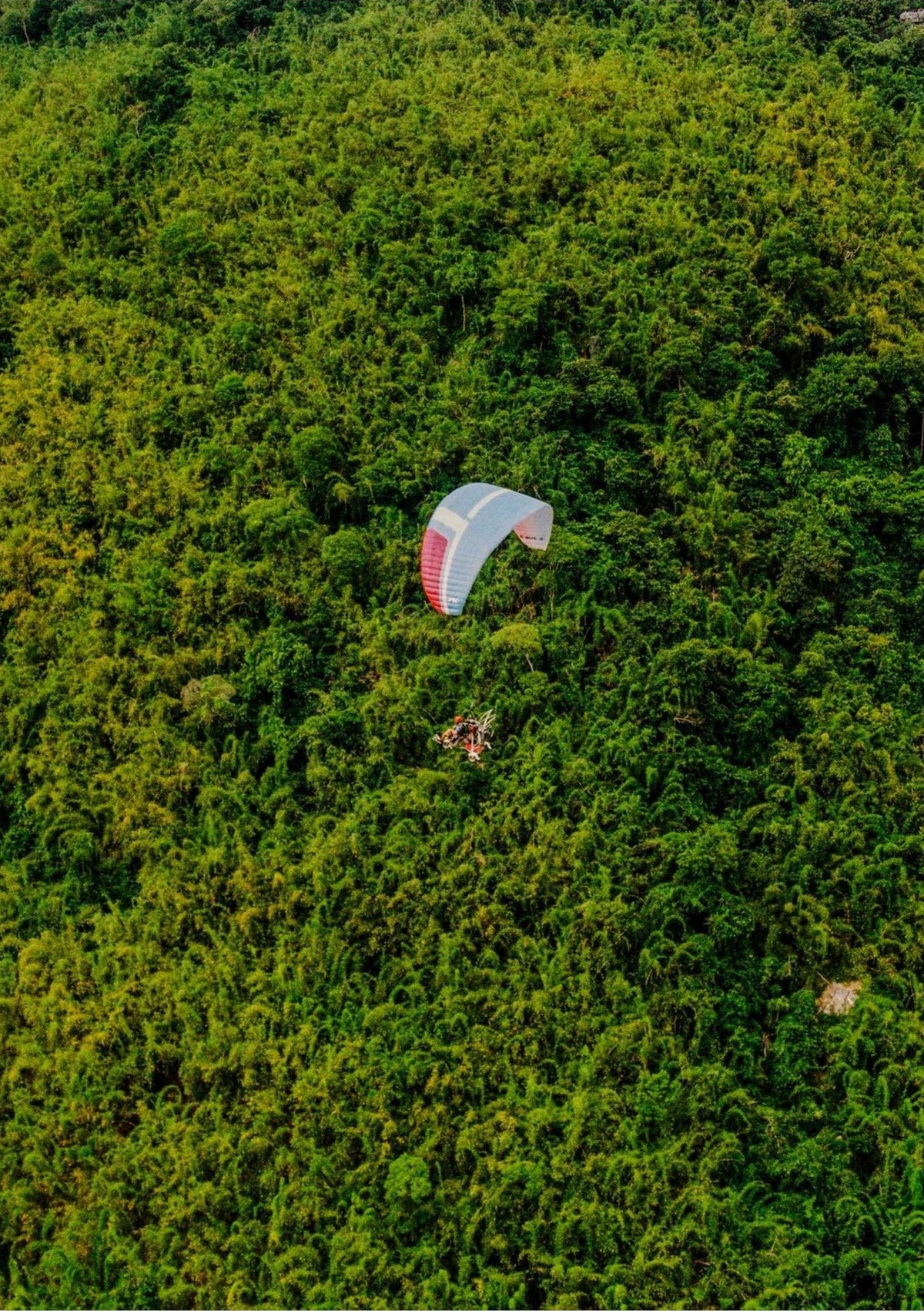 87ed745e-3d53-4b55-94e0-5a78cb618e9d